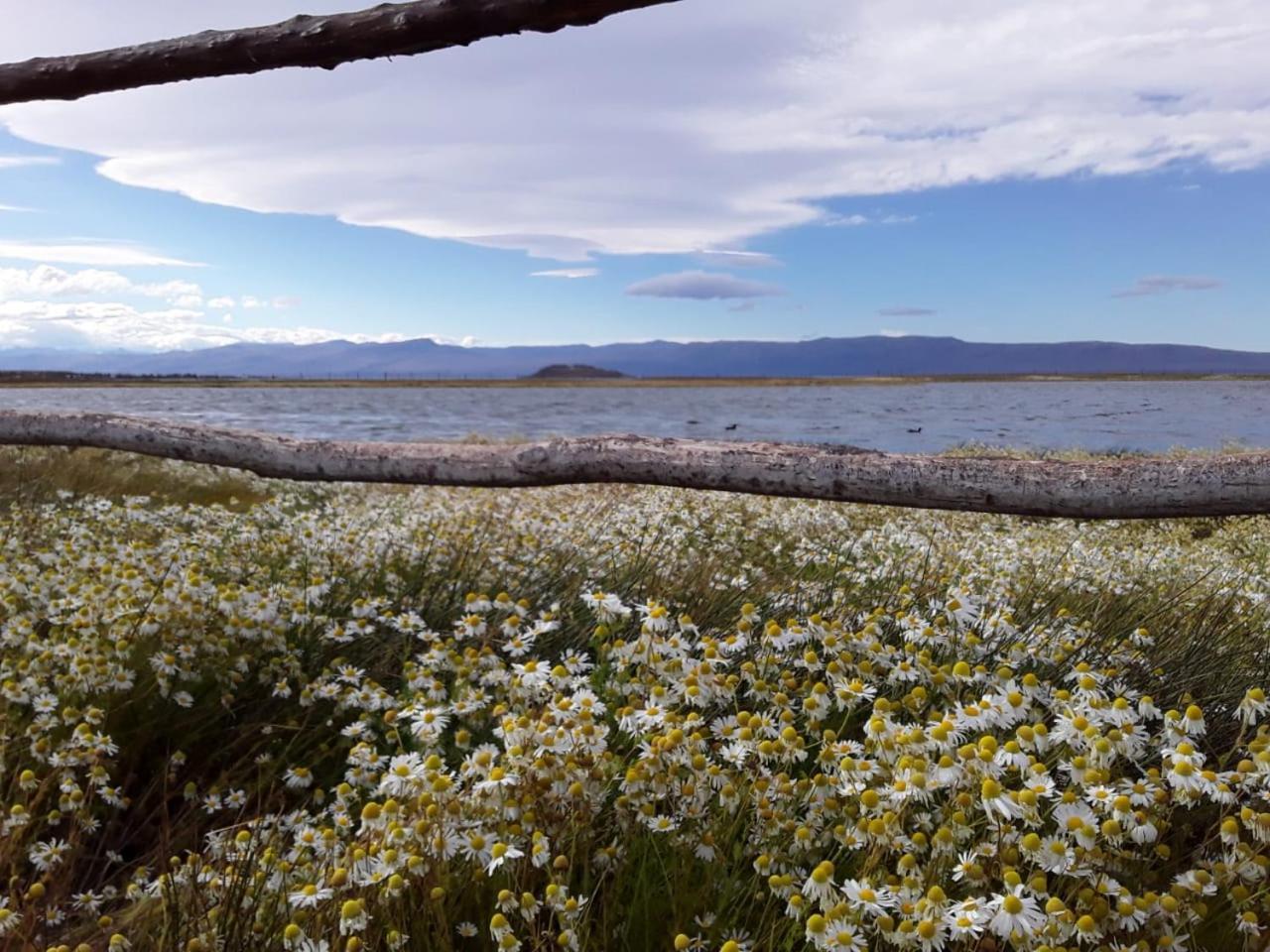Hostel Aves Del Lago El Calafate Exterior photo