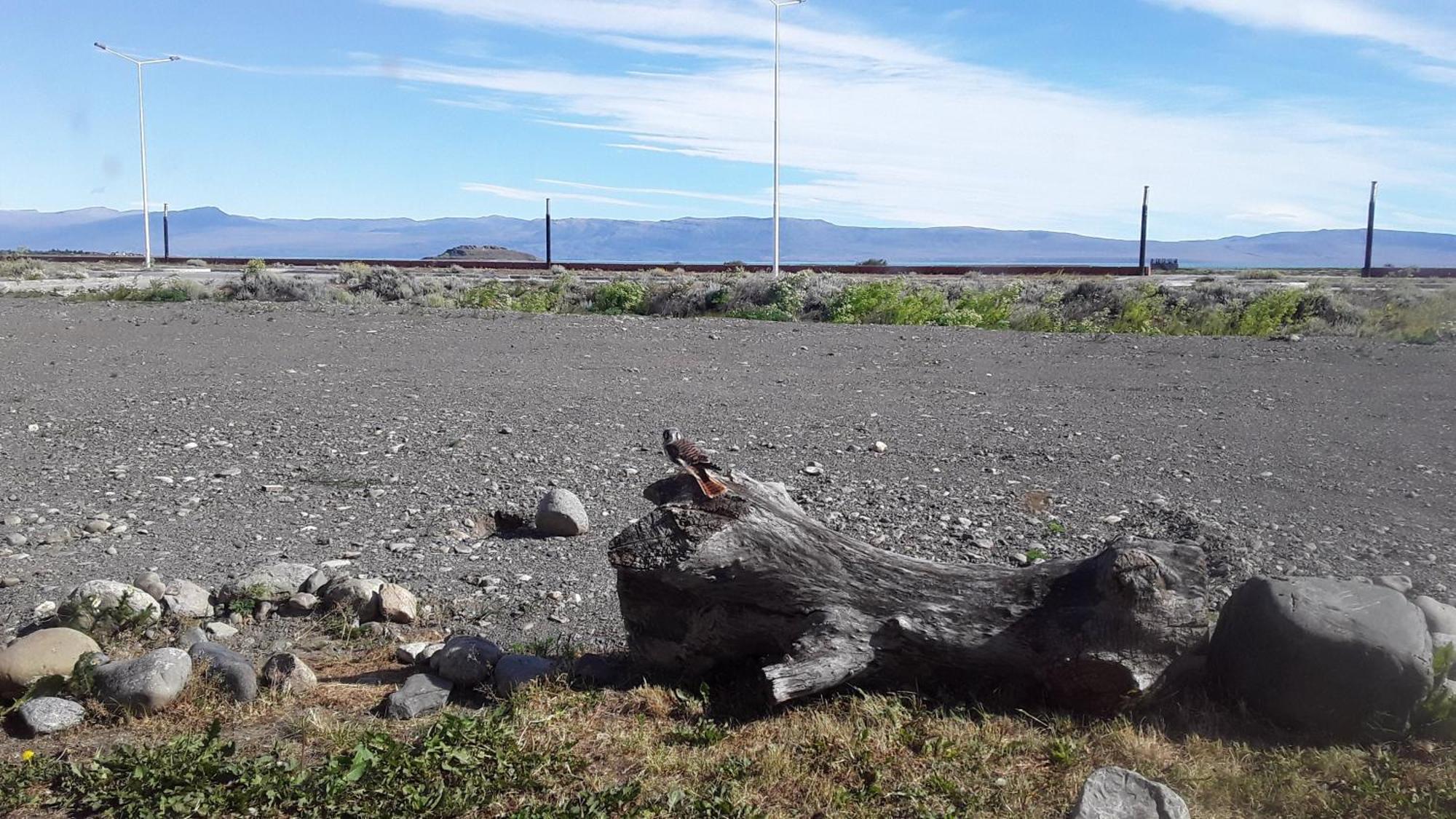 Hostel Aves Del Lago El Calafate Exterior photo